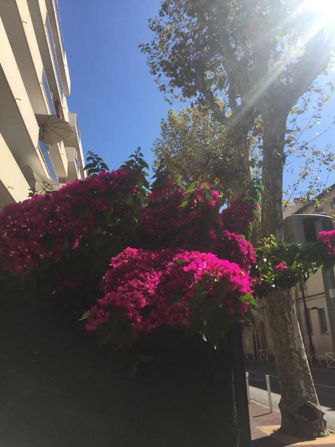 Jardins Du Pont Du Lys Apartment Juan-les-Pins Bagian luar foto